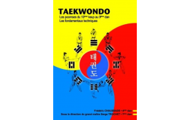 TAEKWONDO - LES POOMSES DU 10E KEUP AU 9E DAN - LES FONDAMENTAUX TECHNIQUES